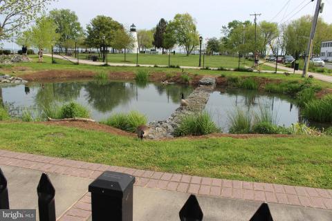 Listing picture 64