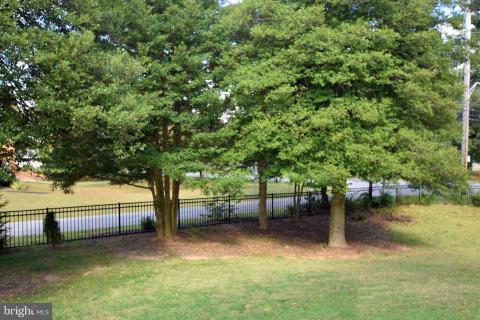 Listing picture 35