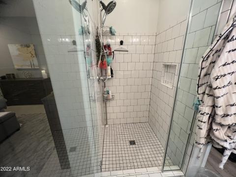 Primary Shower