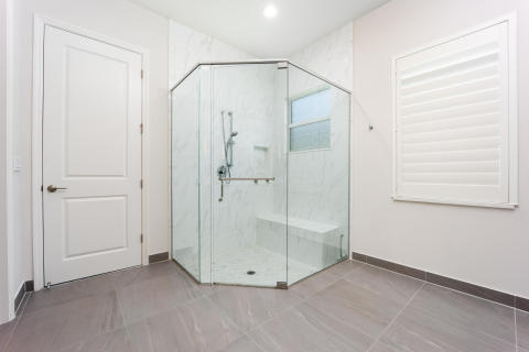 Primary Bathroom Shower