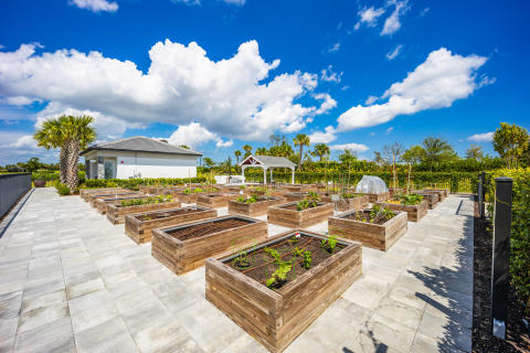 Riverland Community Gardens