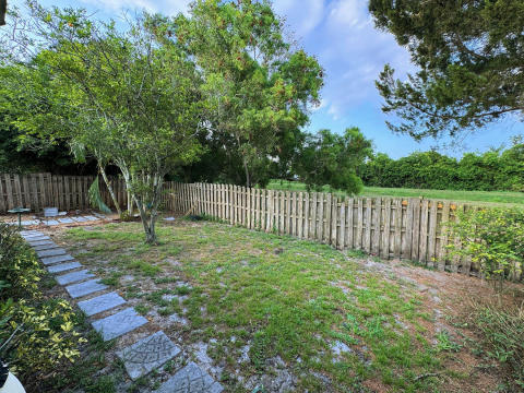 BackYard2