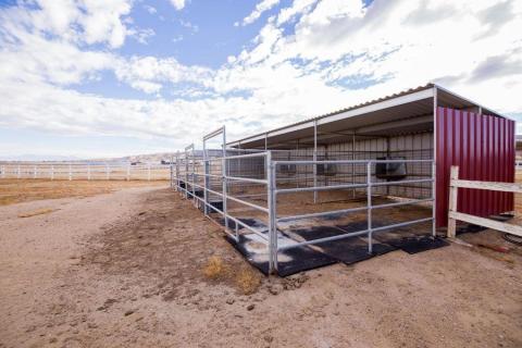 Equestrian1 Equestrian1