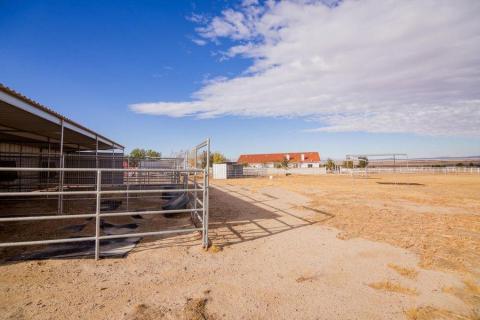 Equestrian2 Equestrian2