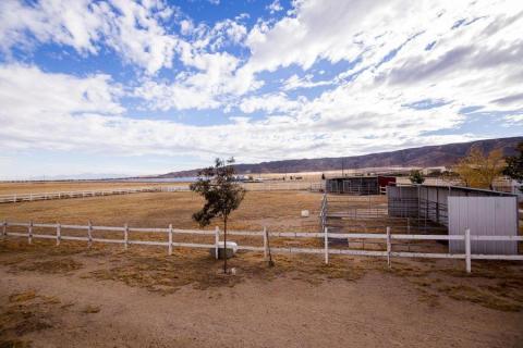 Equestrian3 Equestrian3