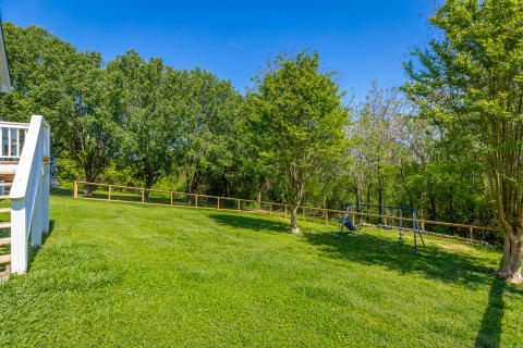 Fenced Back Yard