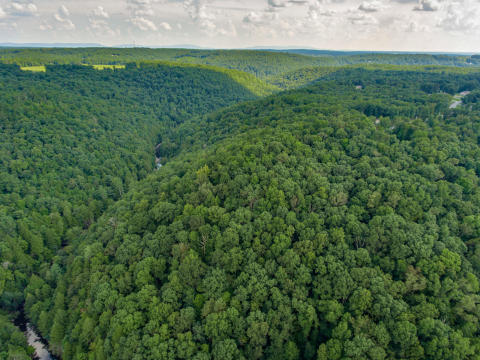 Aerials-5