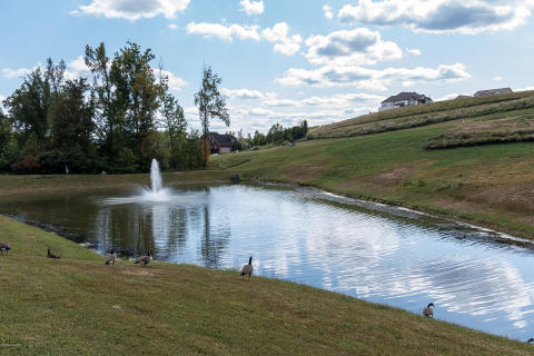 Listing picture 85