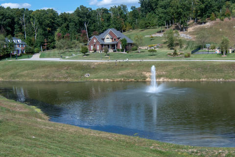 Listing picture 84