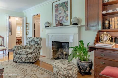 Living Room Fireplace