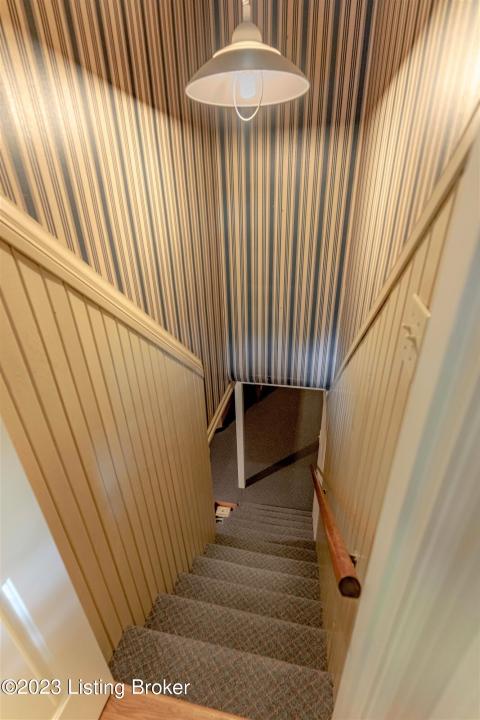 Basement Steps