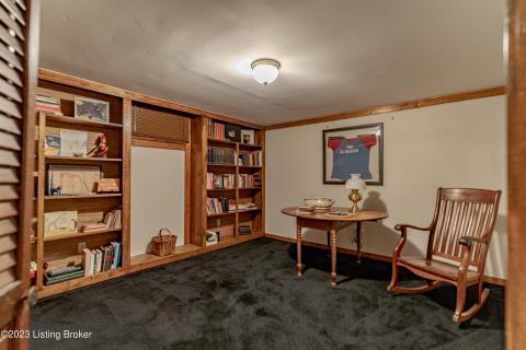 Basement Office