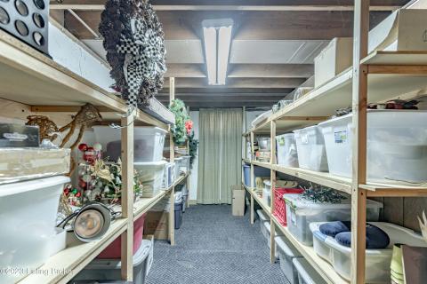 Basement Storage