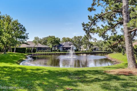 Tranquil Water Views