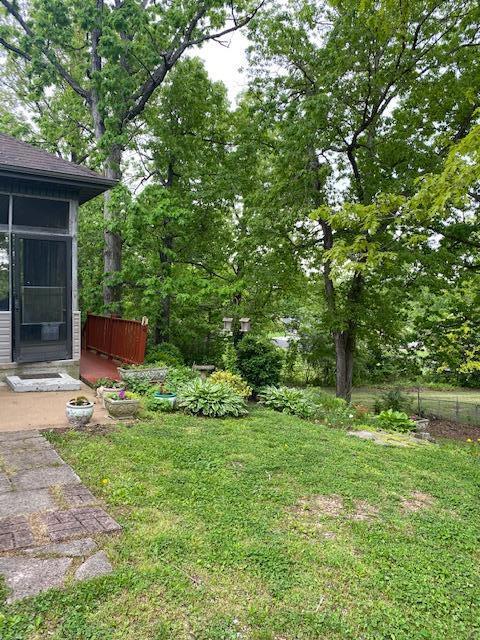4210 backyard