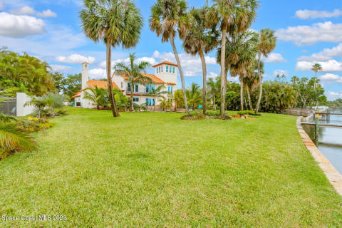 Backyard paradise!