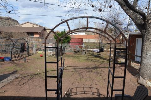 Back yard