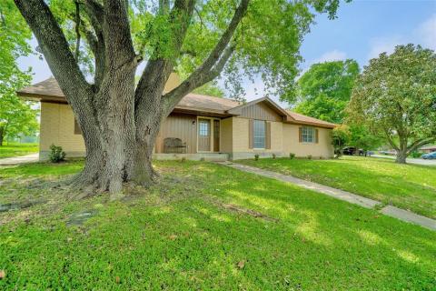 Large beautiful shade tree in the front yard