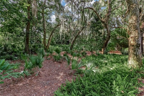 Listing picture 4