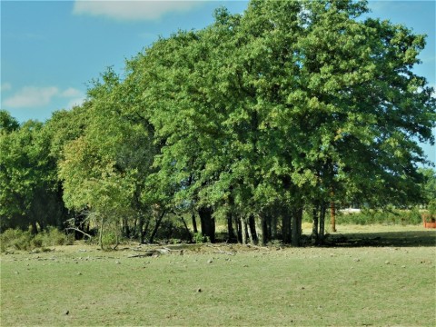 Listing picture 20