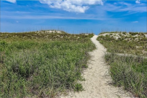 Listing picture 49