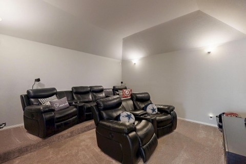 Carpeted cinema room with media furniture and equipment dual level floors.