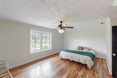 Primary bedroom Faux painted walls, Hunter lifetime ceiling fan and light