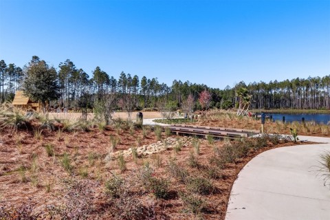 Listing picture 53