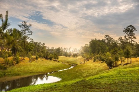 Madera Creek running through the neighborhood