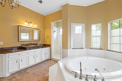 Another view of the primary bathroom.