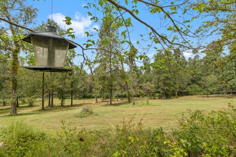 Listing picture 10