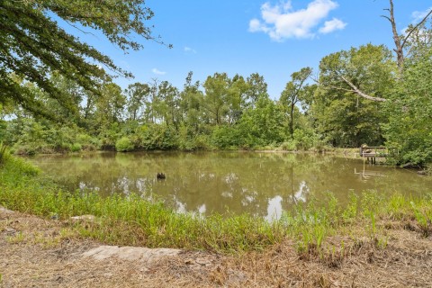 Listing picture 17