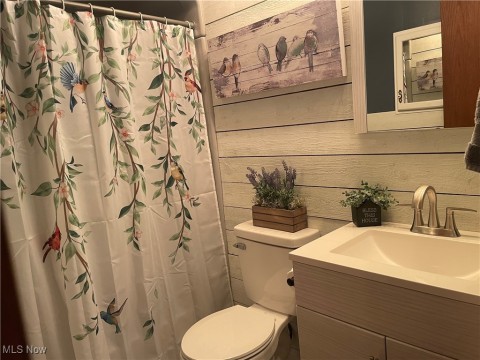 Full bathroom featuring vanity, wood walls, and curtained shower