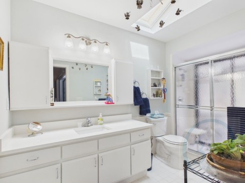 Full bathroom featuring a walk-in shower, a skylight, and a vanity
