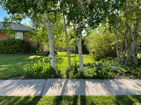 Listing picture 29