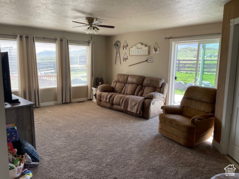 Listing picture 18