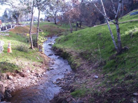 Small stream flows down off the mountain behind the house and through the property.