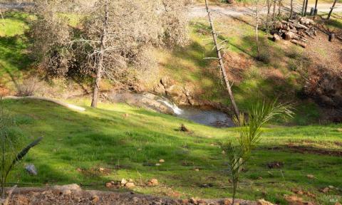 Beautiful creek running through the property that you get to look at everyday.