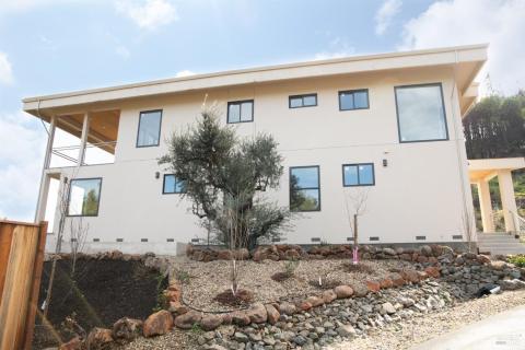 Left side of home with olive tree and garden area.
