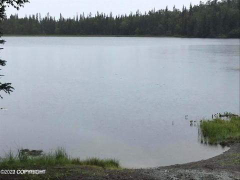 STOCKED LAKE