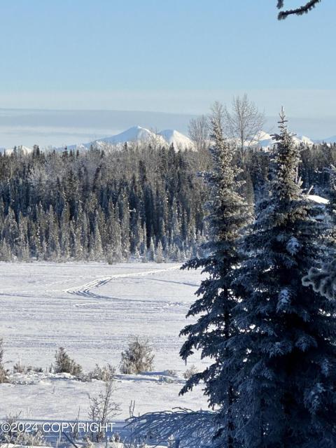 Moose River 1