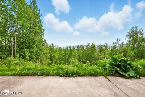 026-IMG_3656_with_clouds