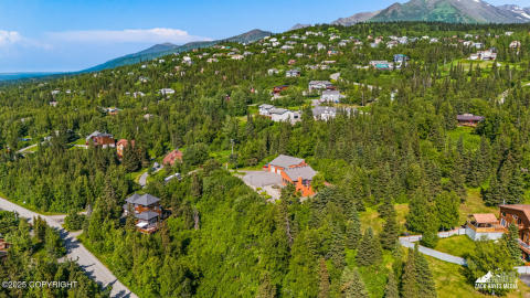 112-11411snowlinedrdrone_ZHM_028 112-11411snowlinedrdrone_ZHM_028