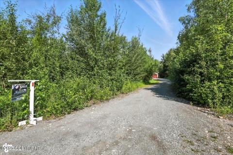 66-IMG_4205