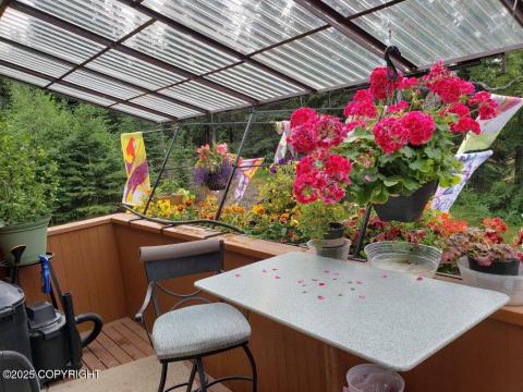 Holmes flowers Holmes flowers