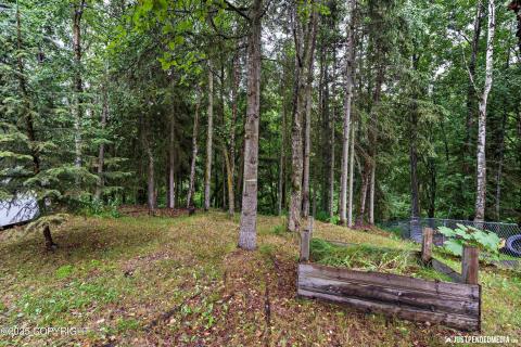 38-DSC00896