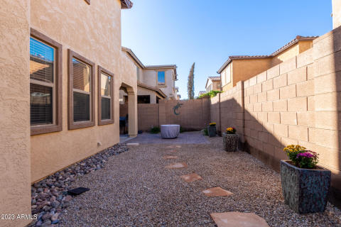 Backyard Area
