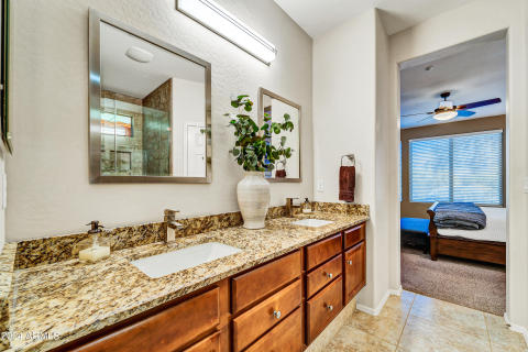 Primary Bathroom III