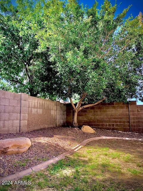 Shaded Back Yard