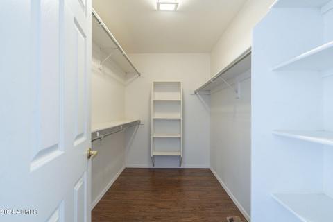 23-web-or-mls-Winged-23